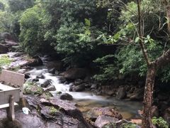 -广州白江湖森林公园