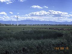 -野鸭湖国家湿地公园
