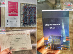 -斯蒂芬主教座堂(Stephansdom)