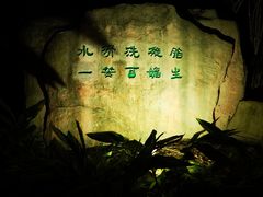 -江门古兜温泉小镇