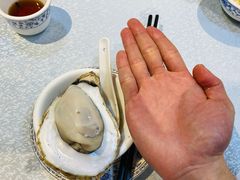 桑拿蠔-天宝食坊·啫啫煲大排档(西华路店)