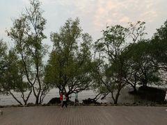 -宝安西湾红树林湿地公园