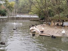 -黔灵山公园