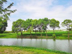 -嘉北郊野公园