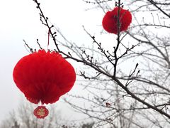 -陶然亭公园