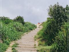 -梧桐山风景名胜区