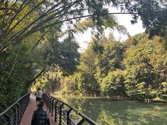 -小南山公园