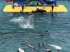 -秦皇岛乐岛海洋王国