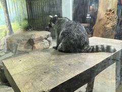 -大连圣亚海洋世界