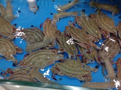 -西贝海鲜汇(槐安路店)