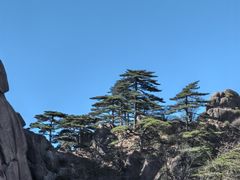 -黄山风景区