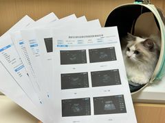 -谐和益家动物医院·免疫绝育·血液透析·宠保定点医院(高新伊藤分院)
