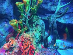 -沈阳海洋探索中心