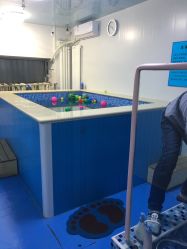 -子木乐园婴儿游泳馆(水晶港店)