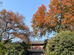 -灵谷景区