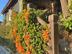 -丽江花间堂·隐泉院