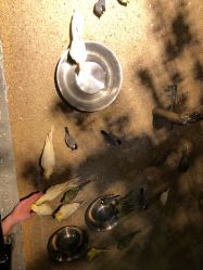 -酷嗒动物文化乐园(cutezoo西溪乐天城店)