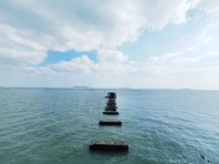 -贡湖湾湿地公园