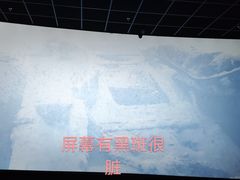 -中影大导演巨幕影城(深圳西乡店)