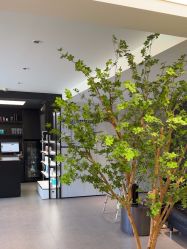-付军剪艺JF ProSalon
