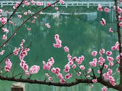 -望江楼公园