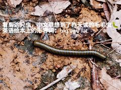 -青龙山国家森林公园