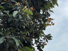 -成都欢乐谷