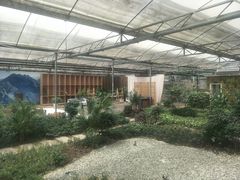 -桉树林A coffee 森林餐厅(三圣乡店)