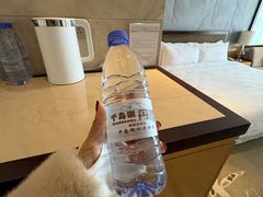 -绿城千岛湖喜来登度假酒店