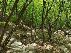 -北京密云天门山风景区
