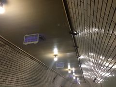 大堂-洞庭洲·防空洞火锅·烧烤·铜锅涮肉(新百广场店)