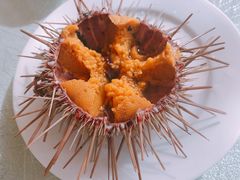 海胆-老虎滩船说·海胆水饺·大连海鲜(老虎滩店)