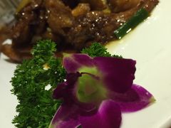 -院落创意菜