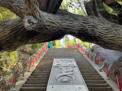 -水磨沟公园