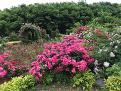 -东南大学(九龙湖校区)