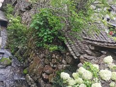 -MOJ coffee(瓯海泽雅水碓坑店)