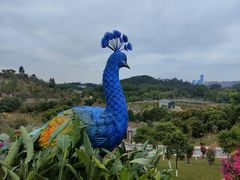 -东莞植物园