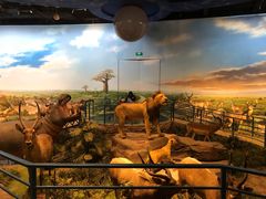 -陕西自然博物馆