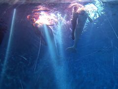 -芜湖新华联大白鲸海洋公园