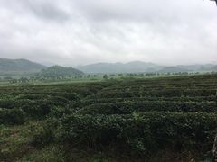 -看见远方·莫干遥远的山民宿