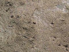 -东寨港红树林旅游区