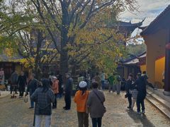 -镇南锅盖面馆(解放路店)