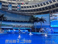 -海合安成都极地海洋公园