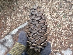 -洛阳白云山景区