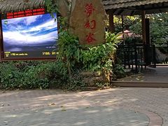 -呀诺达热带雨林
