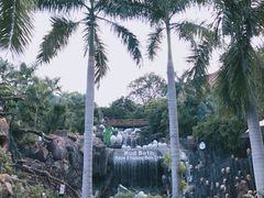 -100蛋泥浆浴