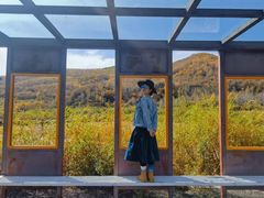 -塞罕坝国家级自然保护区