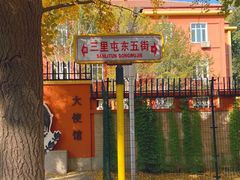 -三里屯东五街银杏大道