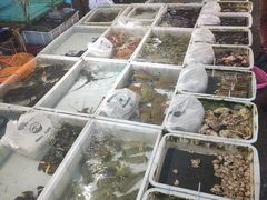 -黄沙水产交易市场