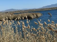 -野鸭湖国家湿地公园